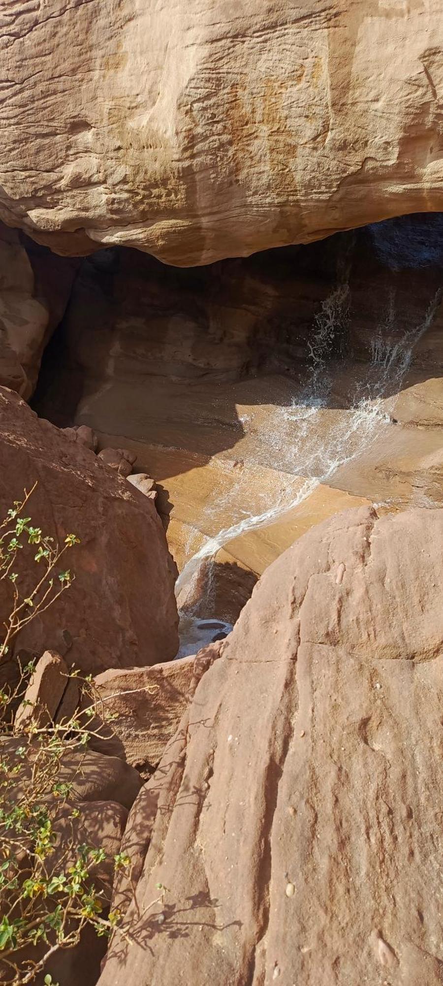 Wadi Rum Aviva Camp Luaran gambar